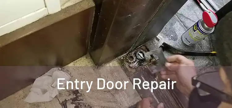  Entry Door Repair 