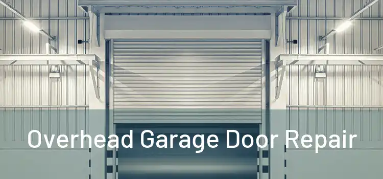  Overhead Garage Door Repair 